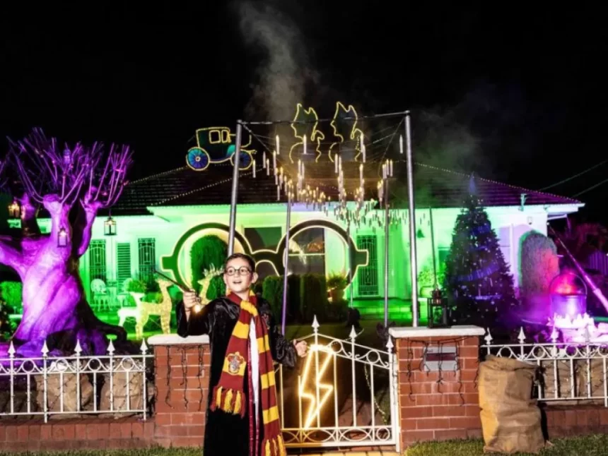 Harry Potter Christmas lights