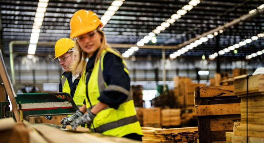 Workers in High vis and hard hats looking down at supply of timber