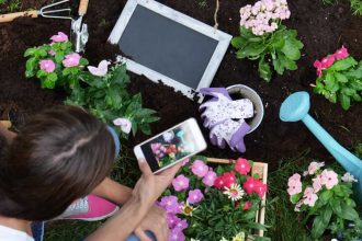 Woman looking at her phone while she's planting flowers in garden