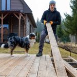 Man and his dog making a tiny home in his backyard