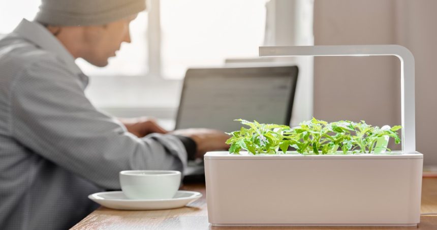 indoor smart garden