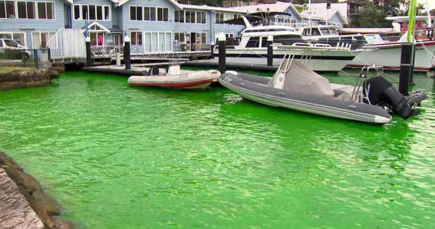 Sydney water turned green thanks to construction dye