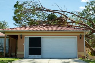 a tree has fallen on a house