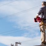 a sparkie stares at powerlines