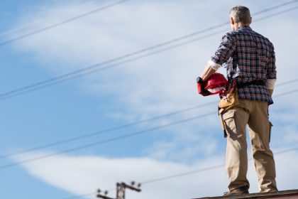 a sparkie stares at powerlines