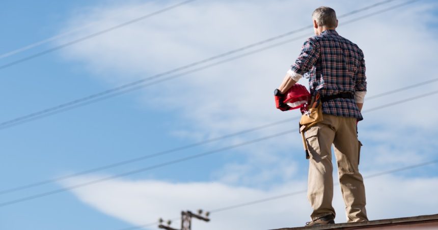 a sparkie stares at powerlines